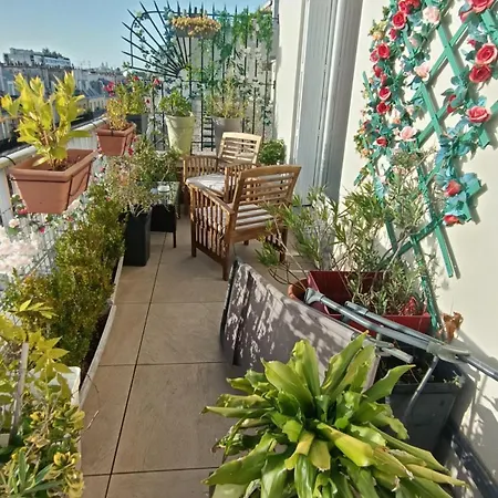 Floor & Terrace With View شقة