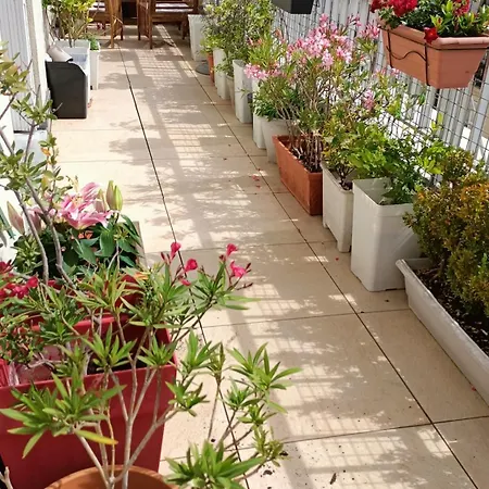Floor & Terrace With View