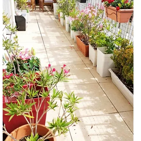 Apartment Floor & Terrace With View